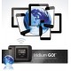 Iridium GO IP65